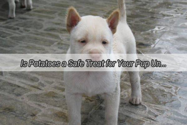 Is Potatoes a Safe Treat for Your Pup Unveiling the Truth About Canine Potato Consumption